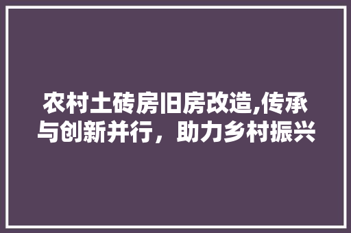 农村土砖房旧房改造,传承与创新并行，助力乡村振兴