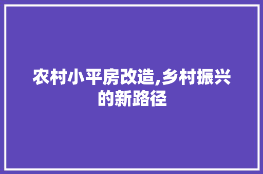农村小平房改造,乡村振兴的新路径