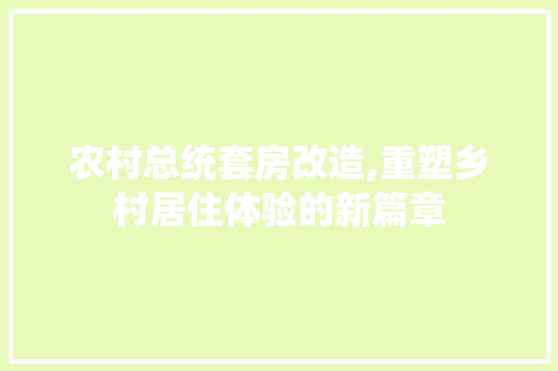 农村总统套房改造,重塑乡村居住体验的新篇章