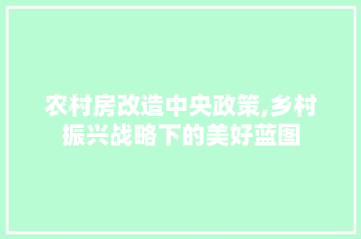 农村房改造中央政策,乡村振兴战略下的美好蓝图