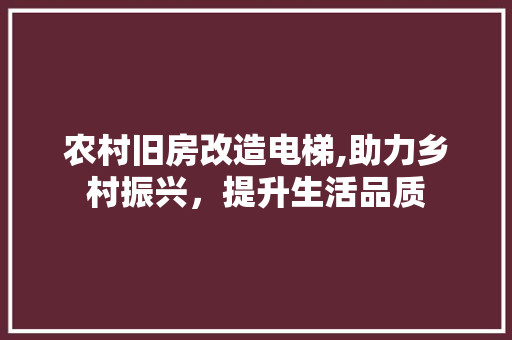 农村旧房改造电梯,助力乡村振兴，提升生活品质
