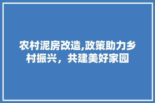 农村泥房改造,政策助力乡村振兴，共建美好家园