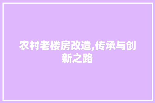 农村老楼房改造,传承与创新之路
