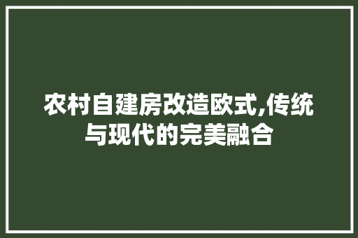 农村自建房改造欧式,传统与现代的完美融合