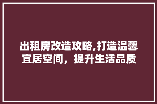 出租房改造攻略,打造温馨宜居空间，提升生活品质