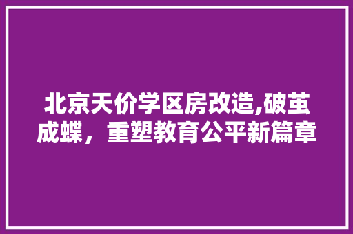 北京天价学区房改造,破茧成蝶，重塑教育公平新篇章