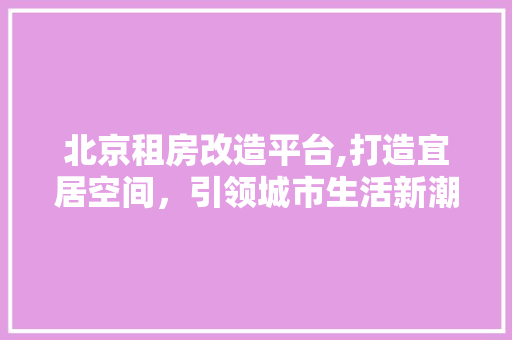 北京租房改造平台,打造宜居空间，引领城市生活新潮流