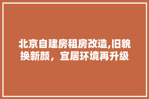 北京自建房租房改造,旧貌换新颜，宜居环境再升级