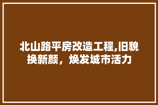 北山路平房改造工程,旧貌换新颜，焕发城市活力