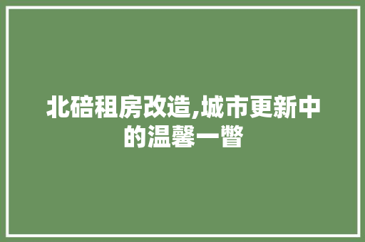 北碚租房改造,城市更新中的温馨一瞥