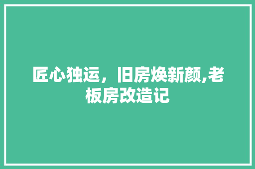 匠心独运，旧房焕新颜,老板房改造记
