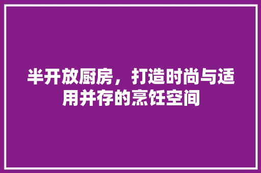 半开放厨房，打造时尚与适用并存的烹饪空间