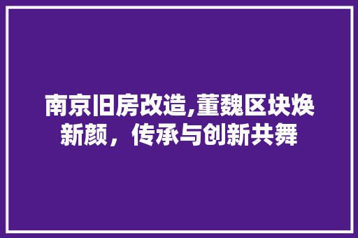 南京旧房改造,董魏区块焕新颜，传承与创新共舞