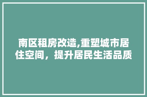 南区租房改造,重塑城市居住空间，提升居民生活品质