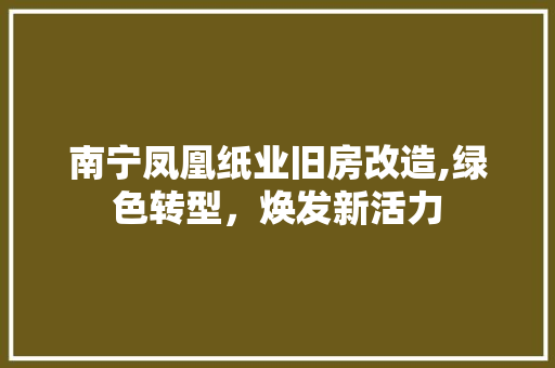 南宁凤凰纸业旧房改造,绿色转型，焕发新活力