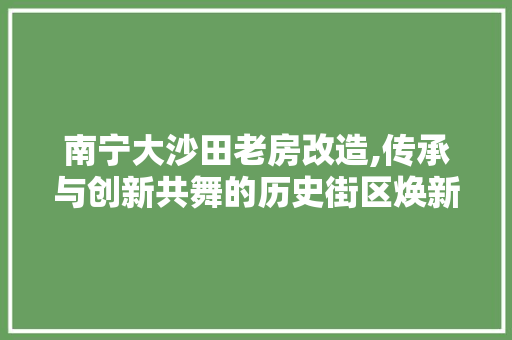 南宁大沙田老房改造,传承与创新共舞的历史街区焕新之旅