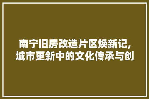 南宁旧房改造片区焕新记,城市更新中的文化传承与创新融合