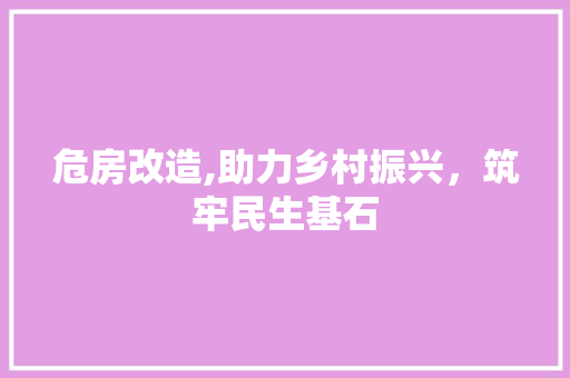 危房改造,助力乡村振兴，筑牢民生基石