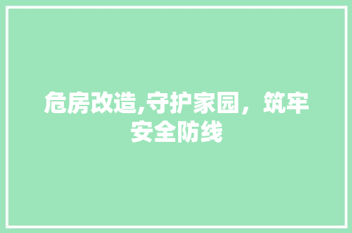 危房改造,守护家园，筑牢安全防线