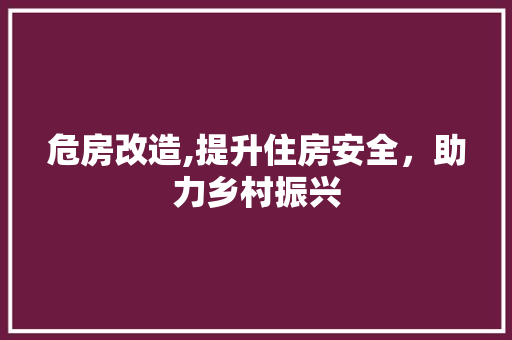 危房改造,提升住房安全，助力乡村振兴