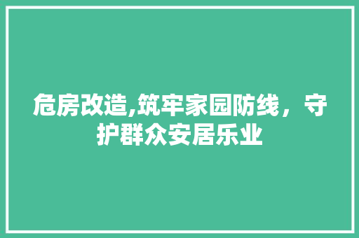 危房改造,筑牢家园防线，守护群众安居乐业