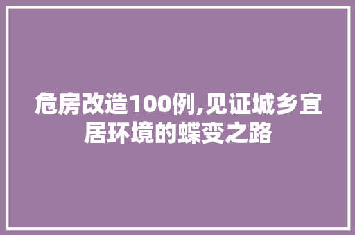 危房改造100例,见证城乡宜居环境的蝶变之路