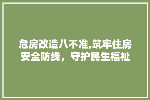 危房改造八不准,筑牢住房安全防线，守护民生福祉