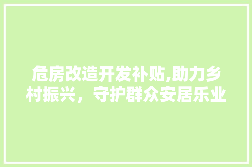 危房改造开发补贴,助力乡村振兴，守护群众安居乐业