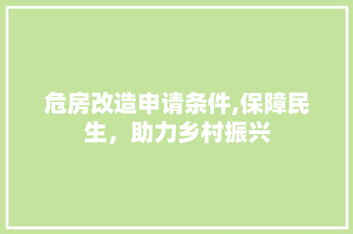 危房改造申请条件,保障民生，助力乡村振兴