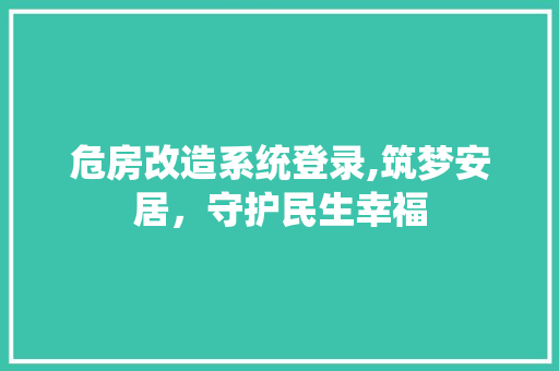 危房改造系统登录,筑梦安居，守护民生幸福