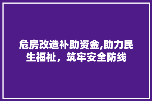 危房改造补助资金,助力民生福祉，筑牢安全防线