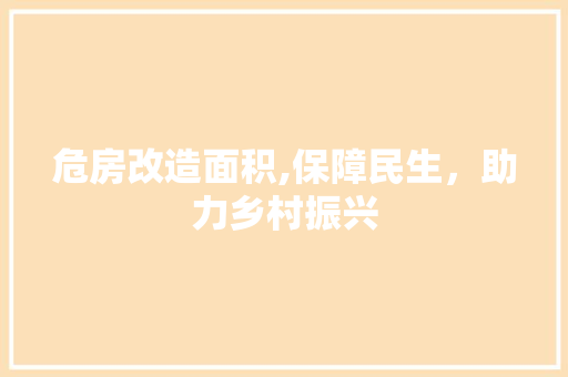 危房改造面积,保障民生，助力乡村振兴