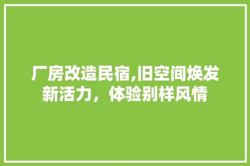 厂房改造民宿,旧空间焕发新活力，体验别样风情