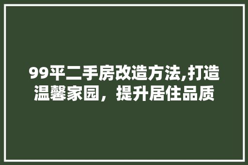 99平二手房改造方法,打造温馨家园，提升居住品质