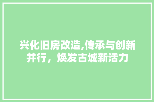 兴化旧房改造,传承与创新并行，焕发古城新活力