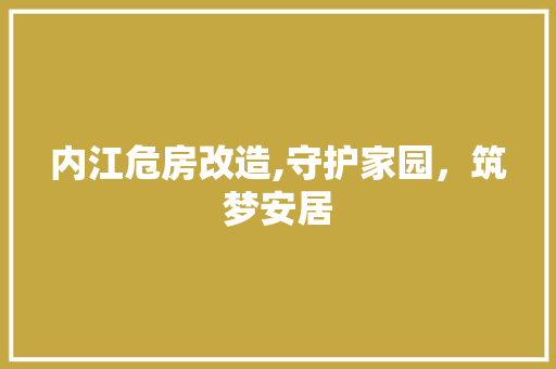 内江危房改造,守护家园，筑梦安居