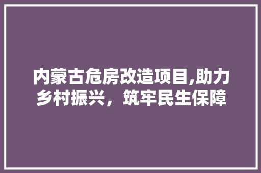 内蒙古危房改造项目,助力乡村振兴，筑牢民生保障