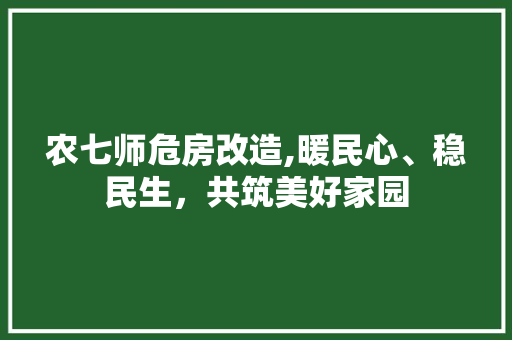 农七师危房改造,暖民心、稳民生，共筑美好家园