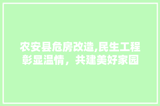 农安县危房改造,民生工程彰显温情，共建美好家园