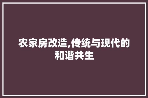 农家房改造,传统与现代的和谐共生