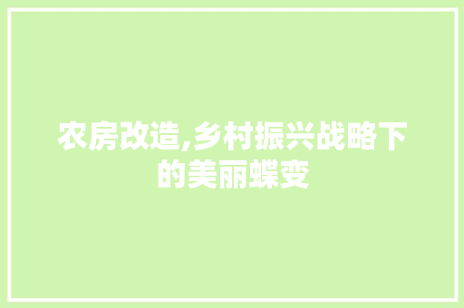 农房改造,乡村振兴战略下的美丽蝶变
