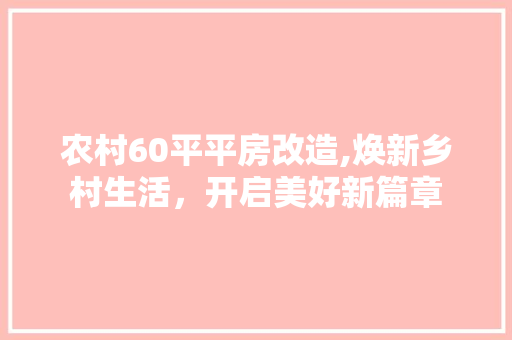 农村60平平房改造,焕新乡村生活，开启美好新篇章