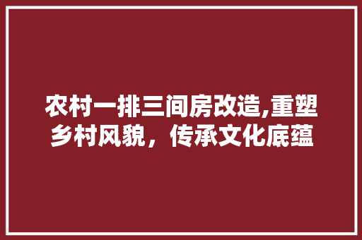 农村一排三间房改造,重塑乡村风貌，传承文化底蕴