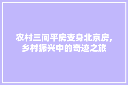 农村三间平房变身北京房,乡村振兴中的奇迹之旅