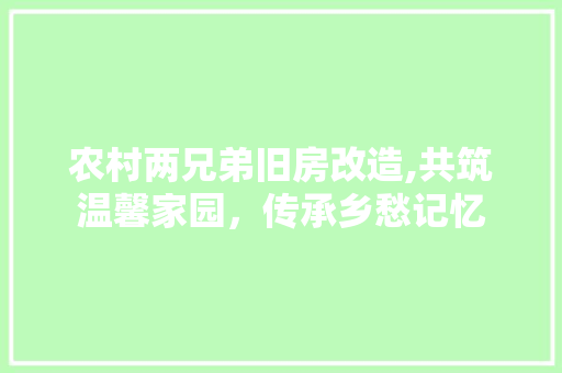 农村两兄弟旧房改造,共筑温馨家园，传承乡愁记忆
