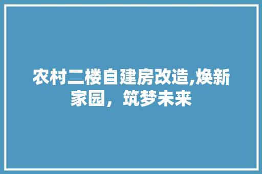 农村二楼自建房改造,焕新家园，筑梦未来
