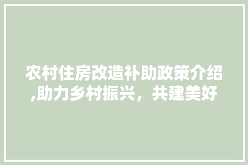农村住房改造补助政策介绍,助力乡村振兴，共建美好家园
