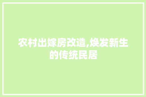 农村出嫁房改造,焕发新生的传统民居