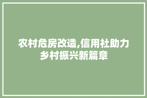 农村危房改造,信用社助力乡村振兴新篇章