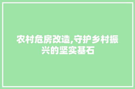 农村危房改造,守护乡村振兴的坚实基石
